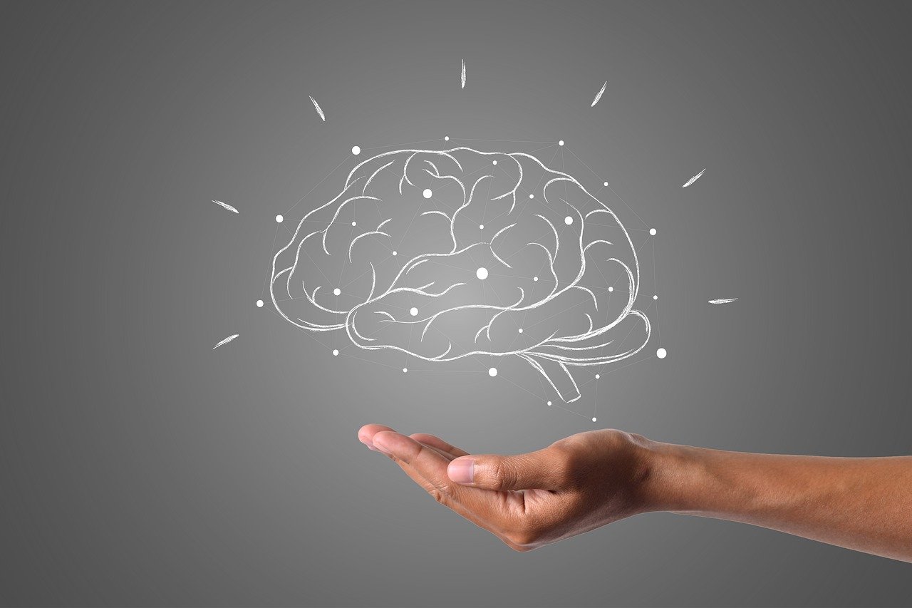 TMS Brain